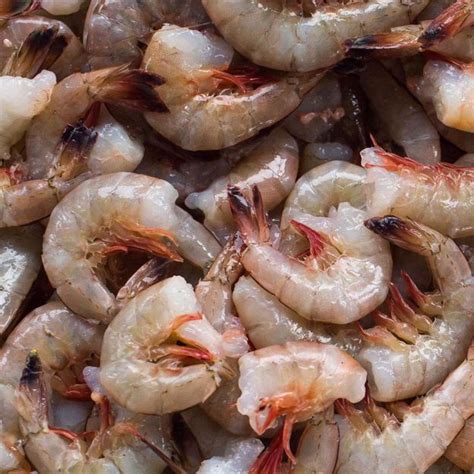 Showing all 6 results. . Gulf shrimp for sale online